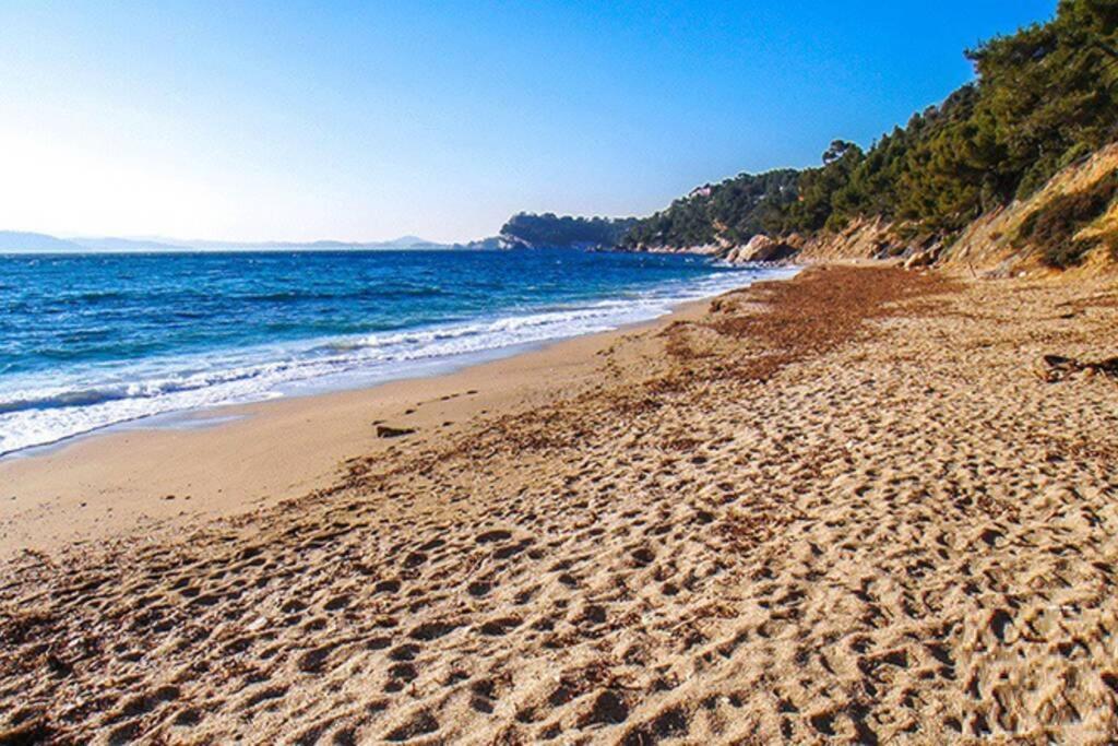 Apartamento Superbe T2 Lumineux 3*** 10 Mn A Pied De La Plage Le Pradet Exterior foto